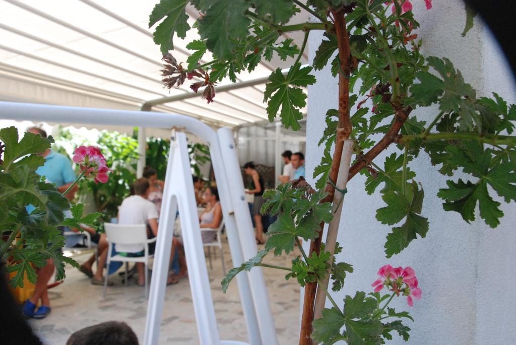 Hotel Cristall Σαν Μπενεντέτο ντελ Τρόντο Εξωτερικό φωτογραφία